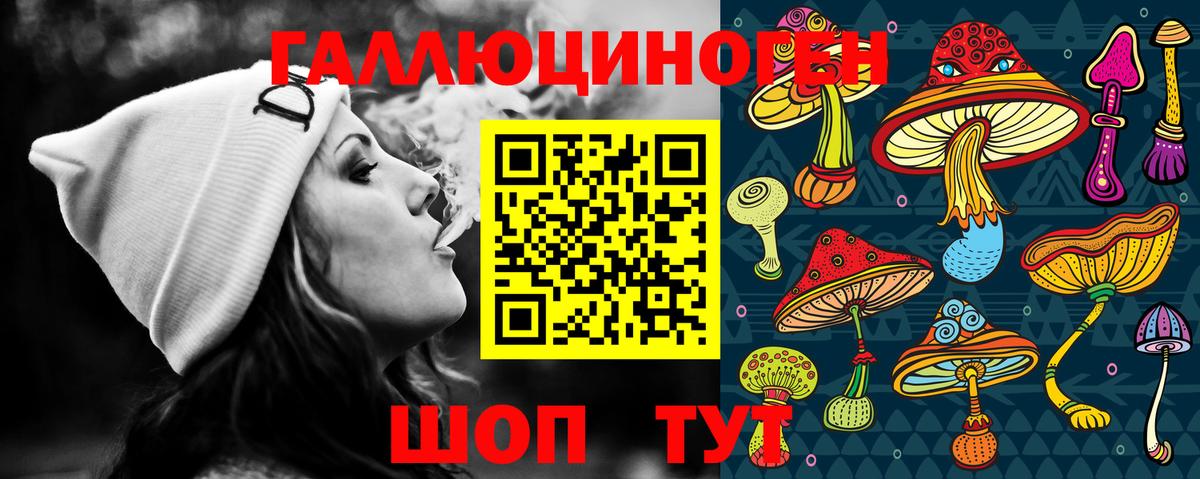 Галлюциногенные грибы GOLDEN TEACHER  Вход с VPN  Черкесск 
